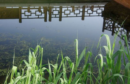 水質監(jiān)測